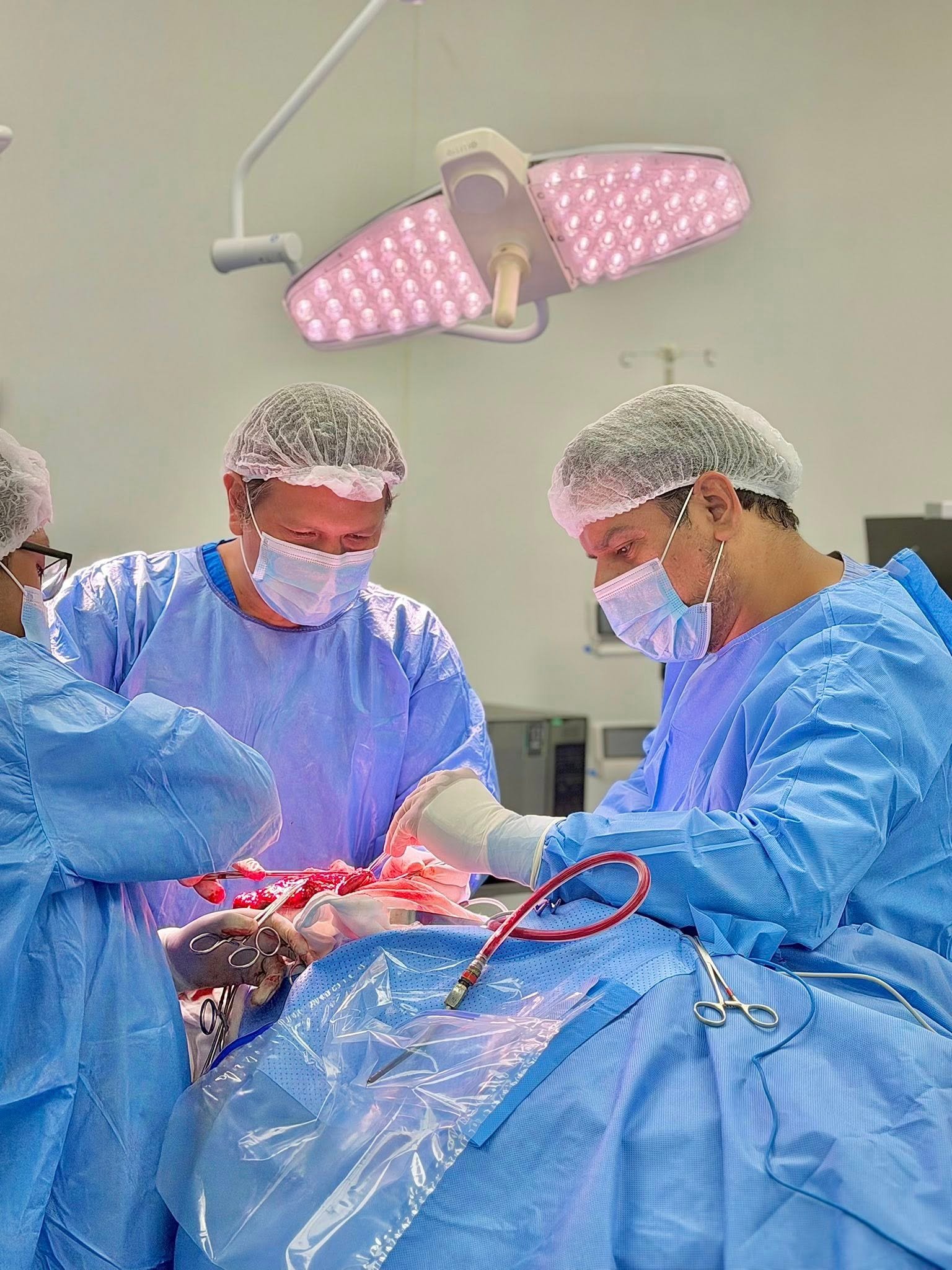 Procedimiento de Neurocirugía Endovascular